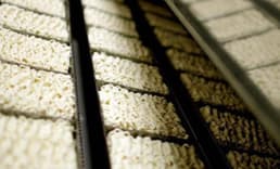 Japon şirketten Sakarya'da noodle fabrikası yatırımı