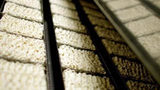 Japon şirketten Sakarya'da noodle fabrikası yatırımı