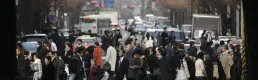 Japonya'da aşırı turizm alarmı: Kiralık evlere kısıtlama geliyor