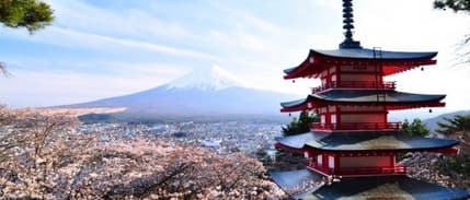 Japonya’dan IOM’a 900 Bin Dolar Destek