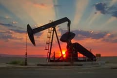 Japonya, ulusal rezervlerden piyasaya ilave petrol sürmeyi planlıyor