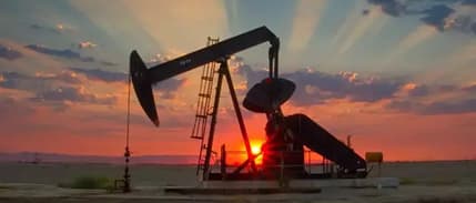 Japonya, ulusal rezervlerden piyasaya ilave petrol sürmeyi planlıyor