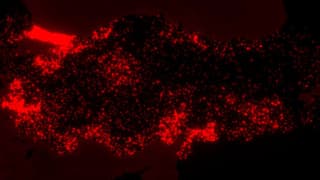 Kadın cinayetleri haritalandırıldı: 