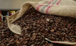 Kakao fiyatları zirvede: Emtia piyasasında son durum