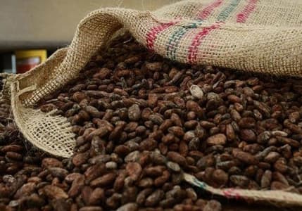 Kakao fiyatları zirvede: Emtia piyasasında son durum