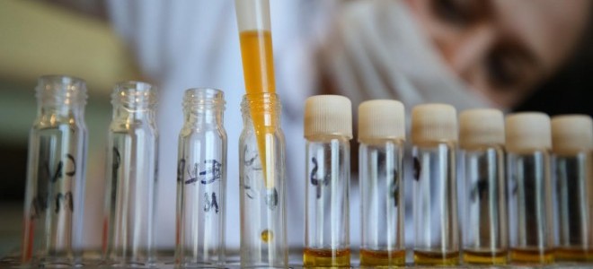 Kamunun imalat sanayisi yatırımlarında aslan payı kimyanın oldu