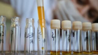 Kamunun imalat sanayisi yatırımlarında aslan payı kimyanın oldu