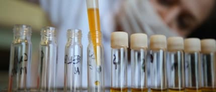 Kamunun imalat sanayisi yatırımlarında aslan payı kimyanın oldu