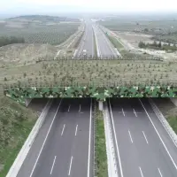 Kara ve demir yollarında 21 ekolojik köprü yapıldı