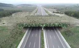 Kara ve demir yollarında 21 ekolojik köprü yapıldı