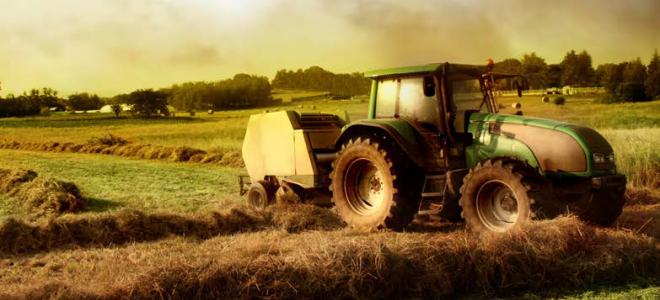 Karacabey Gıda, Tarım ve Hayvancılık Fuarı Açıldı