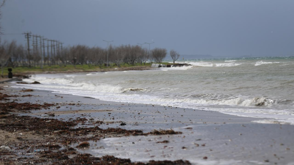 Karadeniz ve Akdeniz'de alarm: Birçok ilde denize girişler yasaklandı