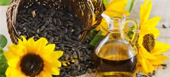 Karadenizbirlik, Yağlık Ay Çiçeğine 2,20 Tl Fiyat Verdi