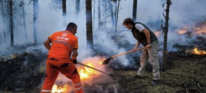 Kazanılan ve kaybedilen orman alanlarının bilançosu belli oldu