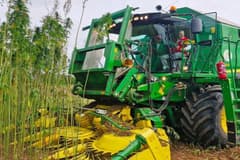 Kenevir üretim izni verilen 21 il açıklandı