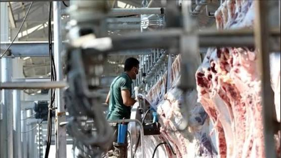 Kesimhanelere kamera zorunluluğu getirildi
