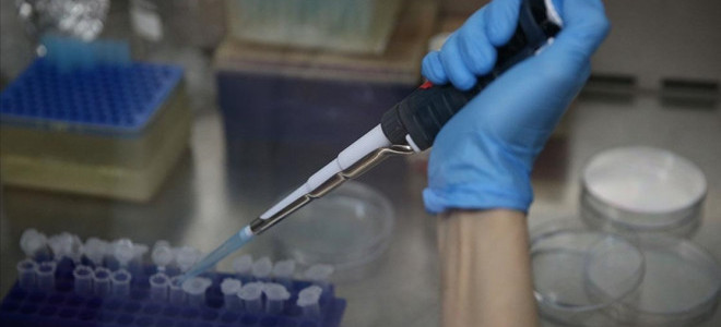 Kırım Kongo Kanamalı Ateşi hastalığına karşı yerli aşı geliştirildi