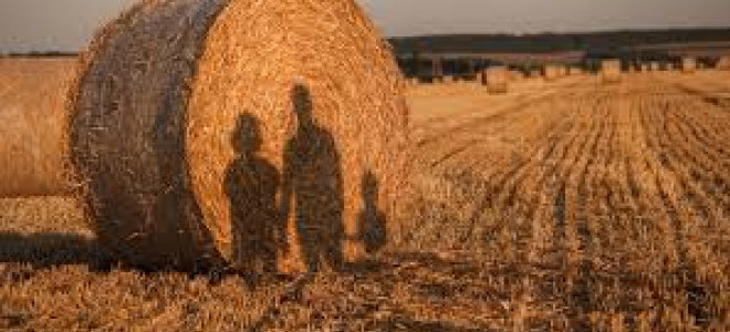 Kırsal kalkınma hamlesi: Aile işletmelerine yeni destekler geliyor