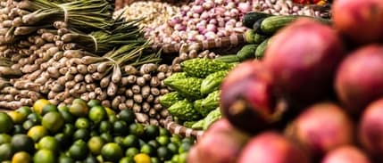 Kırsal kalkınmaya son iki yılda 855 milyon lira hibe desteği