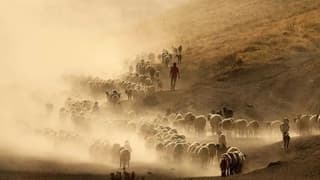 Kırsalda Bereket Projesi’ne başvurularda son günler