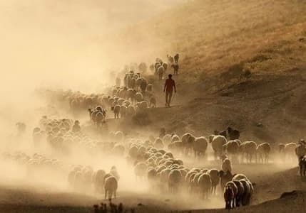 Kırsalda Bereket Projesi’ne başvurularda son günler