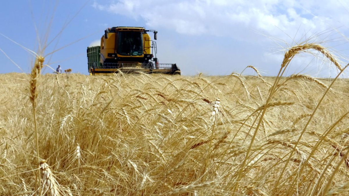 Kırsaldaki üreticilere 315,7 milyon liralık hibe