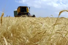 Kırsaldaki üreticilere 315,7 milyon liralık hibe
