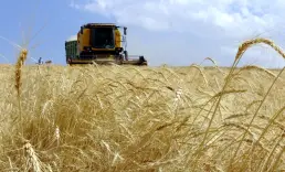 Kırsaldaki üreticilere 315,7 milyon liralık hibe