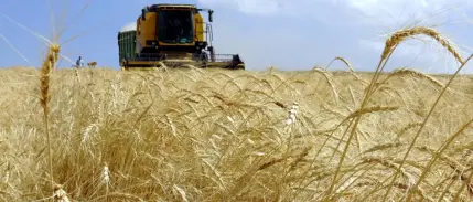 Kırsaldaki üreticilere 315,7 milyon liralık hibe