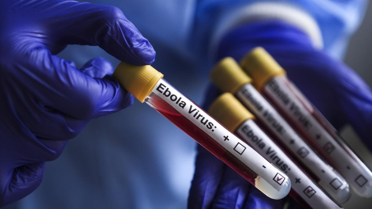 Kongo'da Ebola salgını vaka sayısı 1155'e yükseldi
