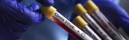 Kongo'da Ebola salgını vaka sayısı 1155'e yükseldi