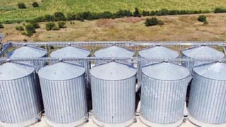 Konkordato ilan eden yem şirketi iflas etti