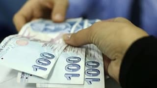 KOOP-DES Programı destek limitleri yükseltildi