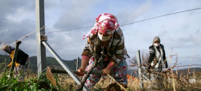 Kredi taksit ertelemesinden 3 bin orman köylüsünün yararlanması bekleniyor