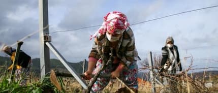 Kredi taksit ertelemesinden 3 bin orman köylüsünün yararlanması bekleniyor