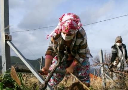 Kredi taksit ertelemesinden 3 bin orman köylüsünün yararlanması bekleniyor