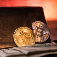 Kripto para cüzdanı nedir?: Hangi yatırımcı ne tür cüzdan kullanmalı?