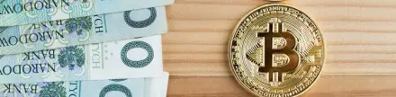 Kripto para piyasasında risk iştahı artıyor