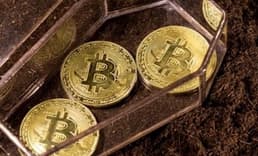 Kripto paraların çöküşü gerçekten mümkün mü?