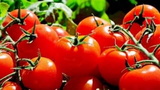 Kumluca'dan Zirai İlaç İddiasına Tepki