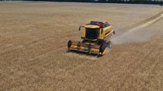 Kuraklık hububatta çiftçinin takvimini değiştirdi