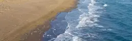 Küresel deniz yüzeyi sıcaklığında rekor kırıldı