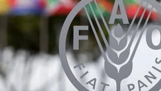 Küresel gıda fiyatları son 2 yılın zirvesine çıktı