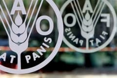 Küresel gıda fiyatlarında 5 aylık düşüş serisi sonlandı