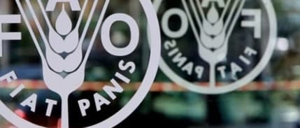 Küresel gıda fiyatlarında 5 aylık düşüş serisi sonlandı