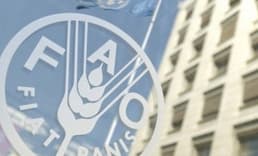 Küresel gıda fiyatlarında son 2,5 yılın en hızlı artışı
