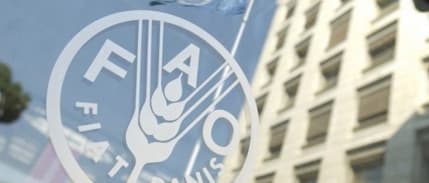 Küresel gıda fiyatlarında son 2,5 yılın en hızlı artışı
