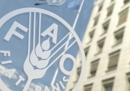 Küresel gıda fiyatlarında son 2,5 yılın en hızlı artışı