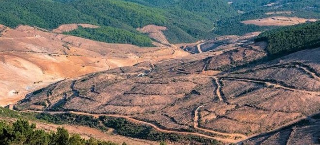 Küresel Gıda Krizi raporu: Yaklaşık 193 milyon insan akut gıda güvensizliği yaşıyor