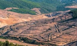 Küresel Gıda Krizi raporu: Yaklaşık 193 milyon insan akut gıda güvensizliği yaşıyor